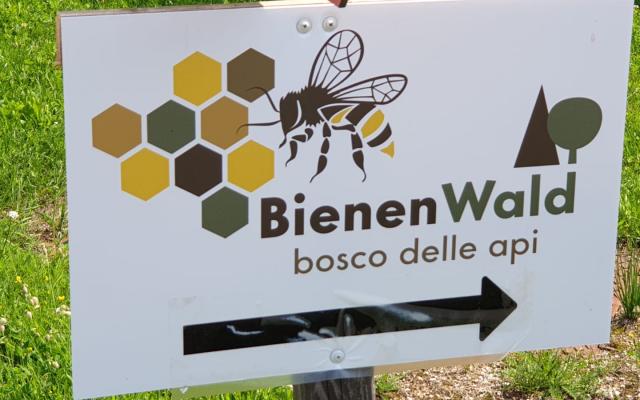 Bienenlehrpfad Steinegg Bienenlehrpfad Steinegg - Gummer mit Lehrbienenstand