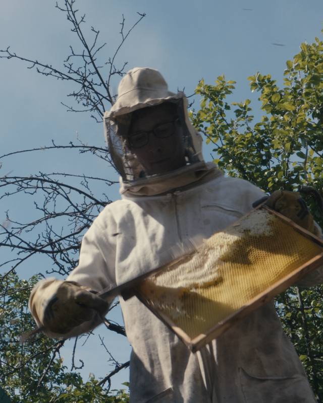bees_2.15.1_1.png