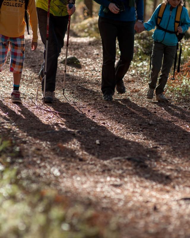 sonnleiten-wandern-10-13-26_1.jpg