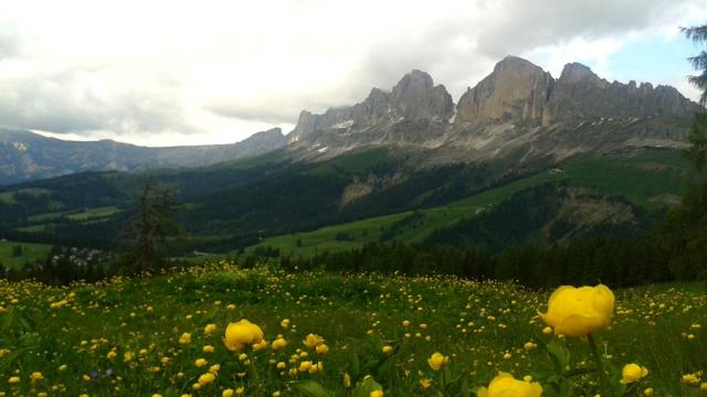 ausblick_von_den_latemarwiesen_richtung_rosengarten.jpg