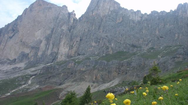 bunte_bergwiesen_unter_der_rotwand.jpg