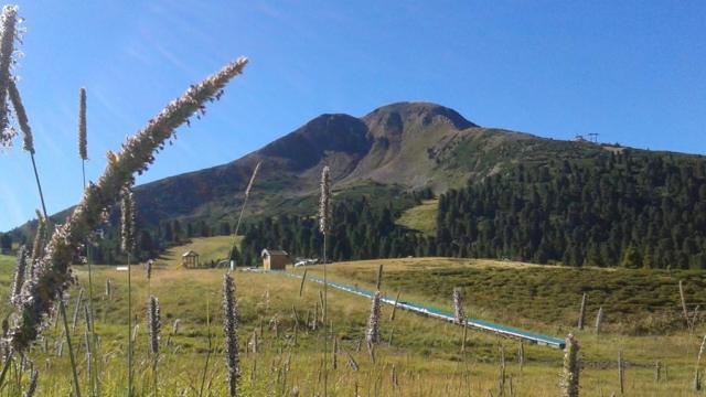 Unser Ziel, der Gipfel des Schwarzhorns 2436m unser_ziel_der_gipfel_des_schwarzhorns_2436m.jpg