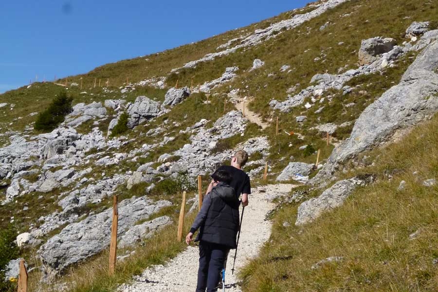 Unsere schönste Tour im Naturpark SchlernRosengarten Unsere schönste
