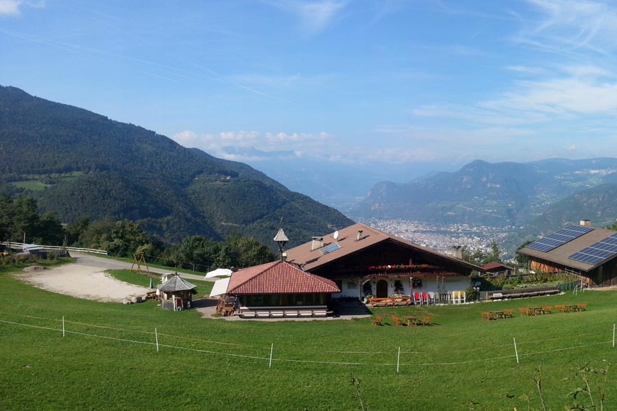 Hofschank Wiedenhof Hofschank Wiedenhof / Alles Wichtige auf einen